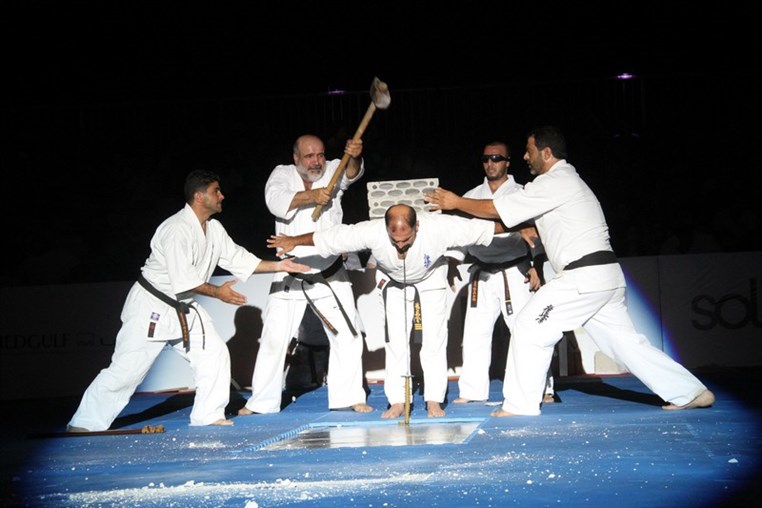 Martial Arts Festival